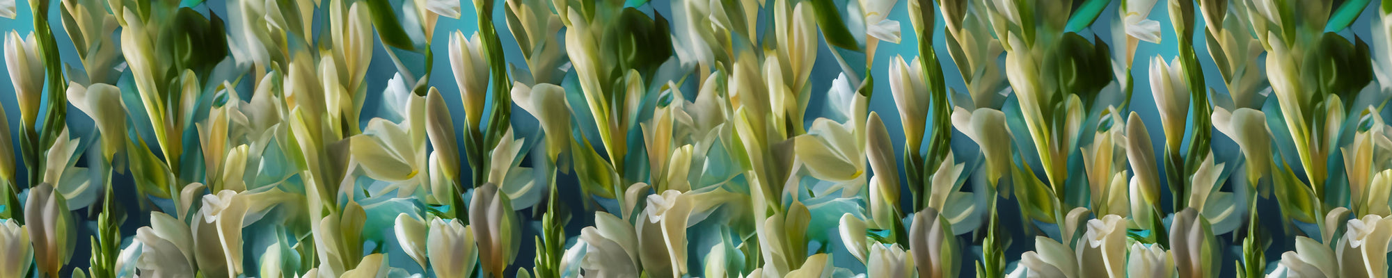 An abstract pattern consisting of soft, wavy lines and shapes in shades of green, white, and blue, giving a sense of plants or floral elements against a teal background.